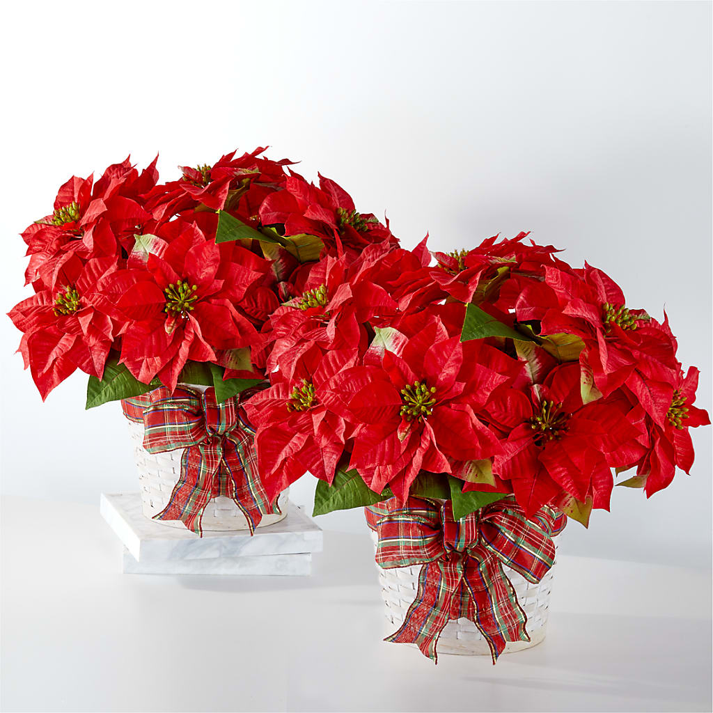 Happiest Holidays Poinsettia Bundle – Miami Flowers, Miami FL