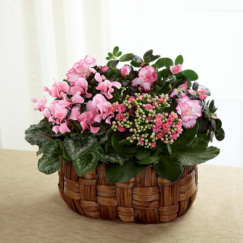 Pink Assortment – Miami Flowers, Miami FL