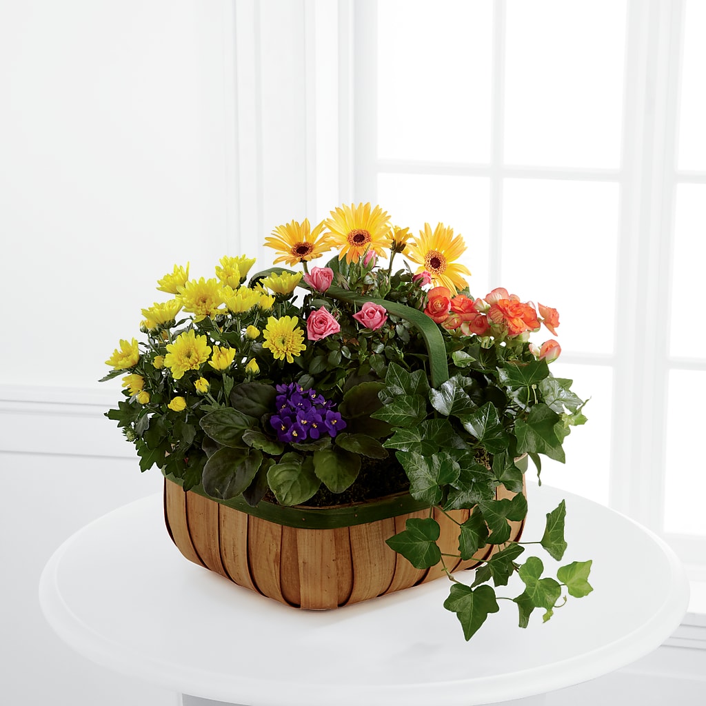 Gentle Blossoms Basket – Miami Flowers, Miami FL