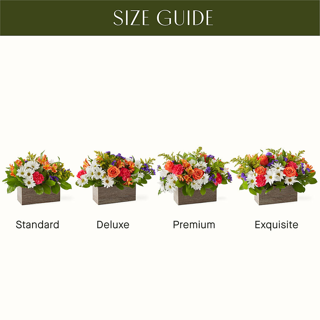 Oopsie Daisy Box Bouquet – Miami Flowers, Miami FL