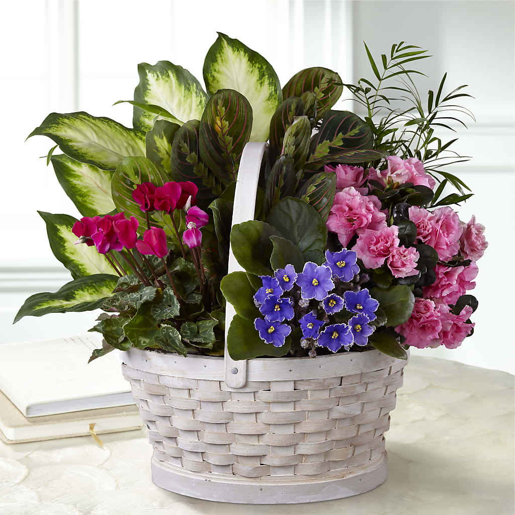 Peaceful Garden Planter – Miami Flowers, Miami FL