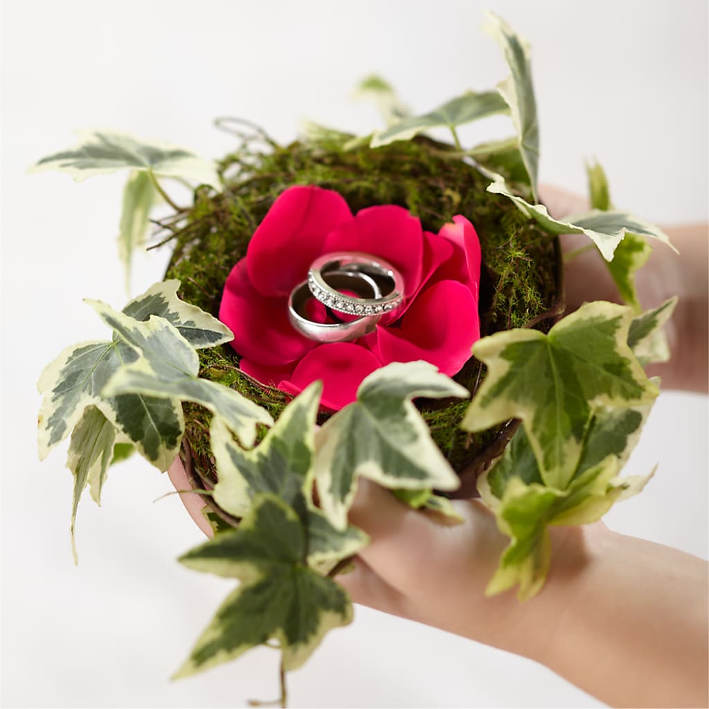 Lila Rose Ring Nest – Miami Flowers, Miami FL