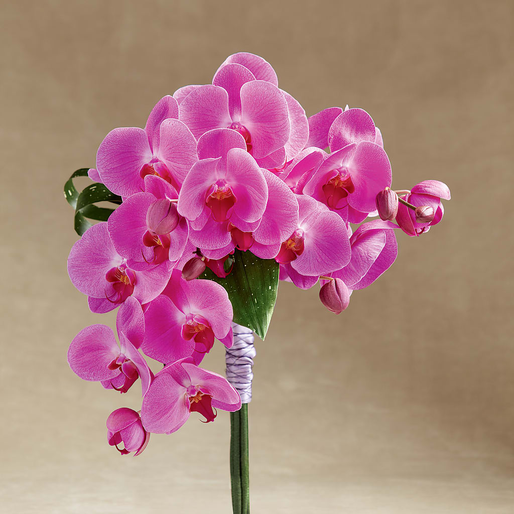 Glorious Bouquet – Miami Flowers, Miami FL