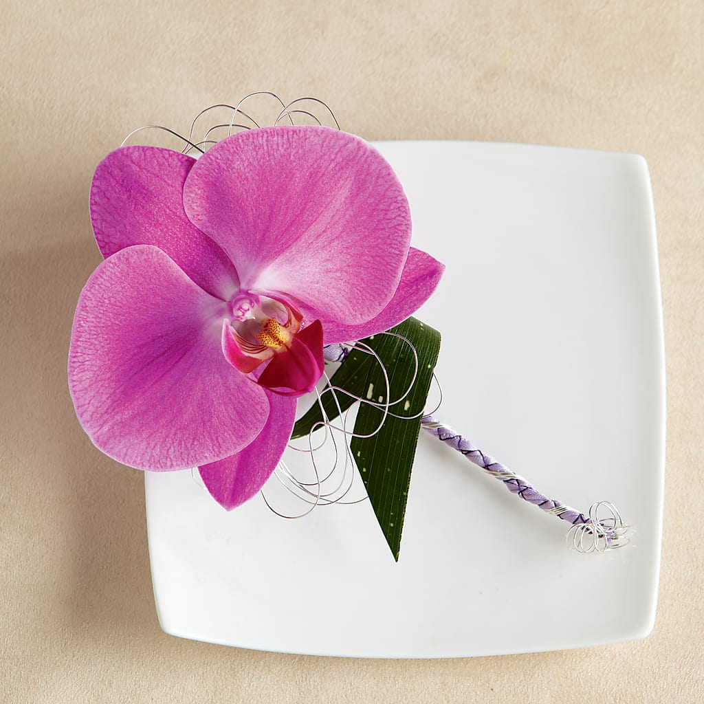 Glorious Boutonniere – Miami Flowers, Miami FL
