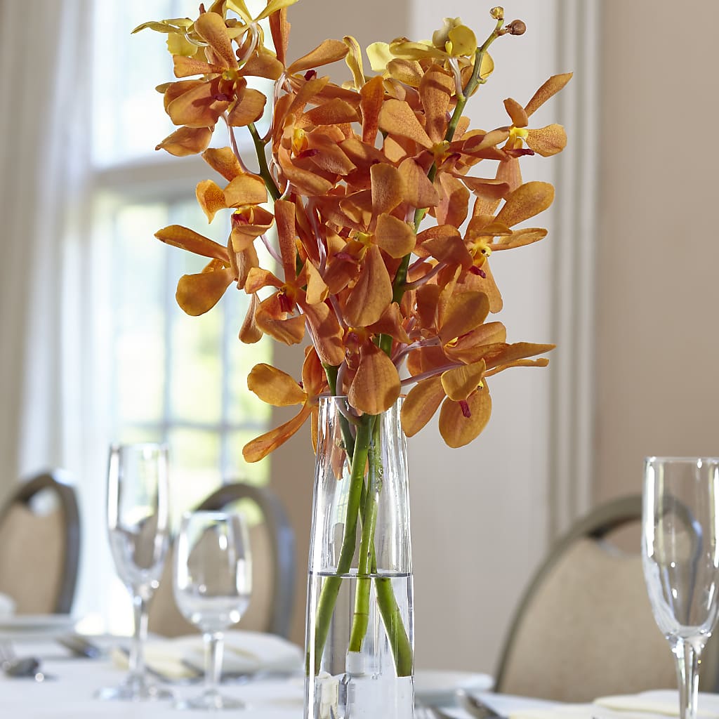 Orange Mokara Bud Vase – Miami Flowers, Miami FL