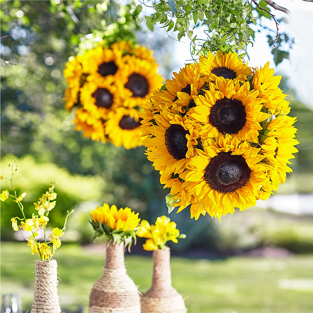 Sublime Garden Hanging Arrangement – Miami Flowers, Miami FL