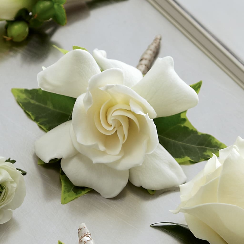 Gardenia Boutonniere – Miami Flowers, Miami FL