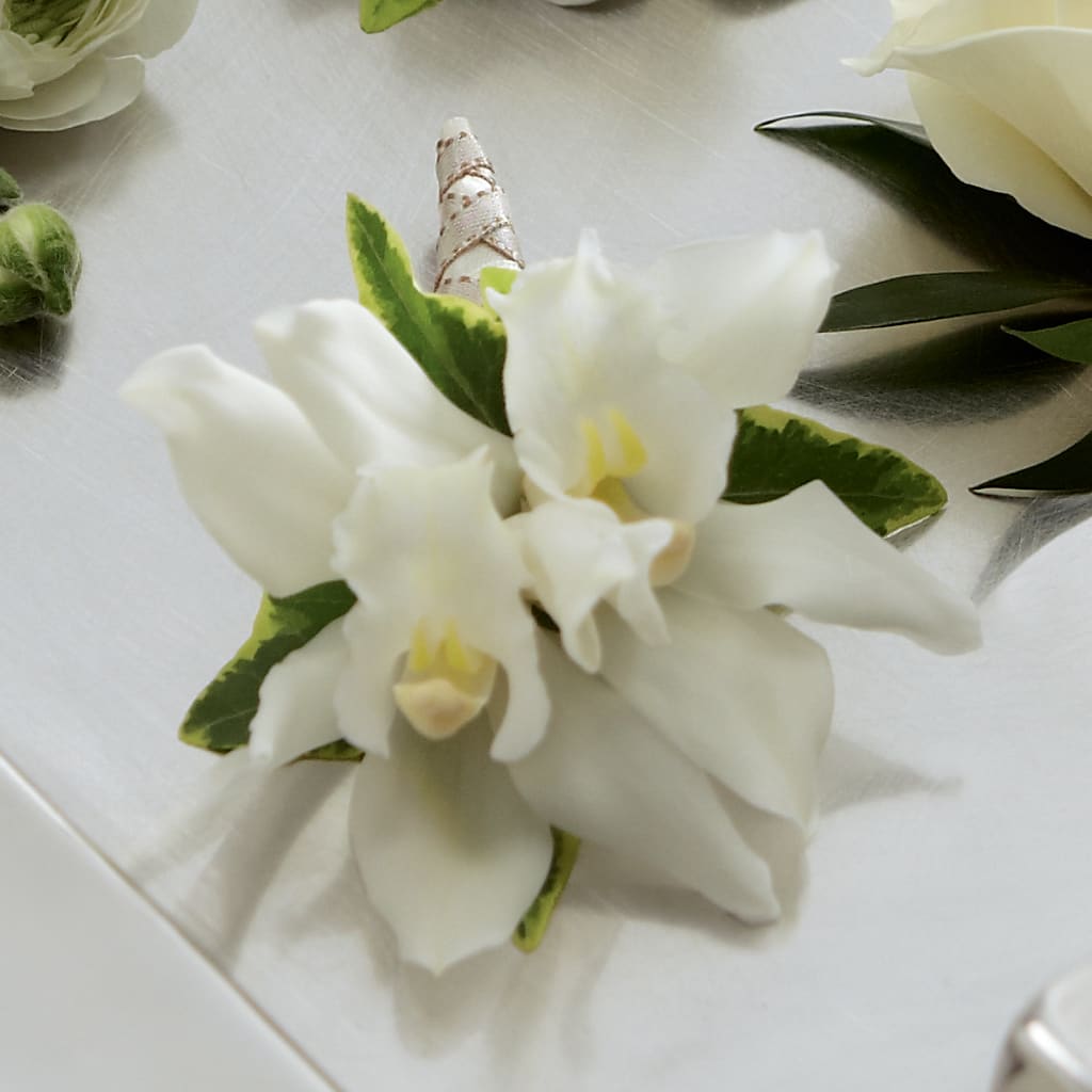 White Mini Cymbidium Boutonniere – Miami Flowers, Miami FL
