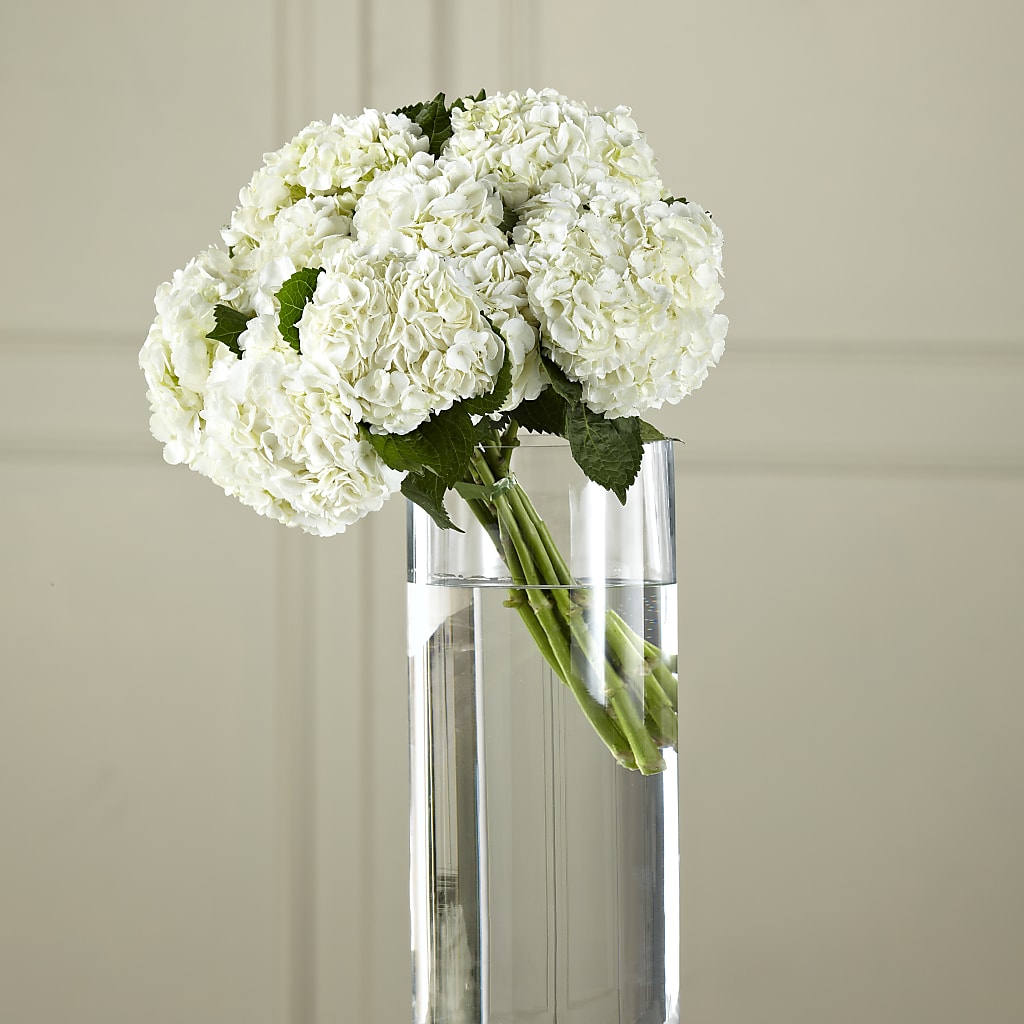 White Hydrangea Hand-Tied Bouquet – Miami Flowers, Miami FL