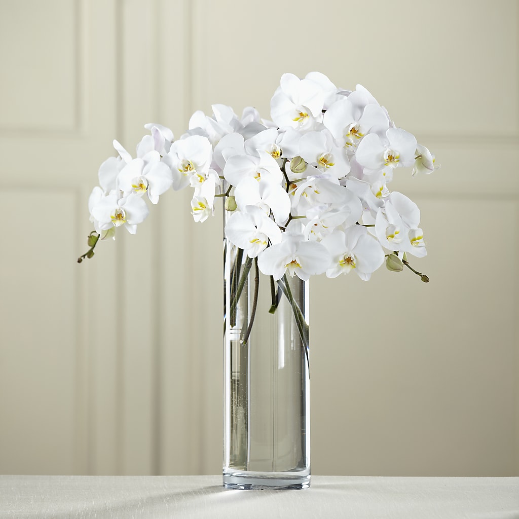 White Phalaenopsis Bouquet – Miami Flowers, Miami FL