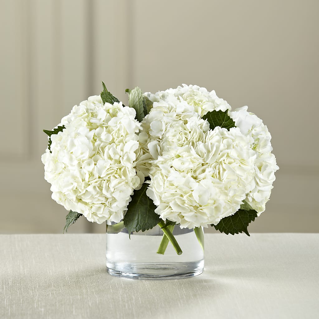 White Hydrangea Bouquet – Miami Flowers, Miami FL