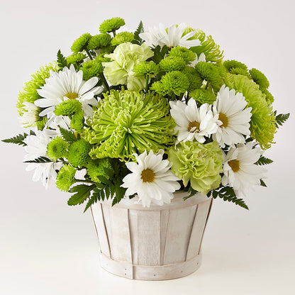 Lucky Charm Basket (Standard) –  Miami Flowers, Miami FL