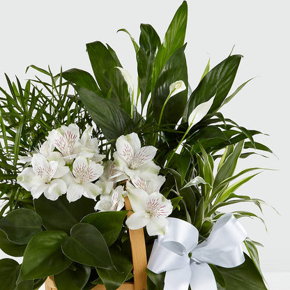 Peace & Serenity Dishgarden –  Miami Flowers, Miami FL