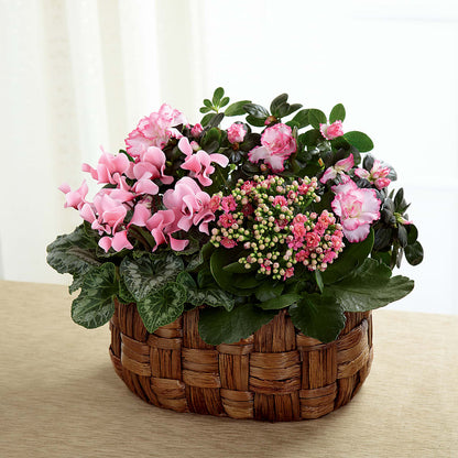 Pink Assortment –  Miami Flowers, Miami FL