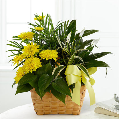 Loving Light Dishgarden –  Miami Flowers, Miami FL