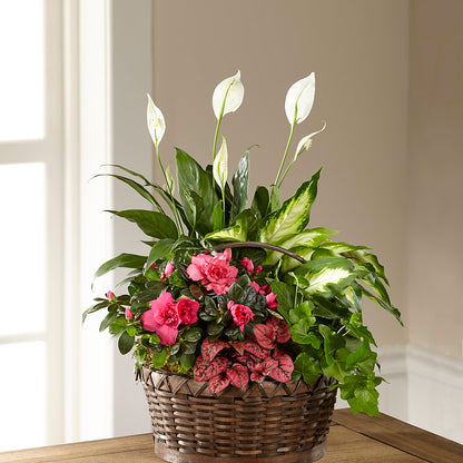 Dream in Pink Dishgarden –  Miami Flowers, Miami FL