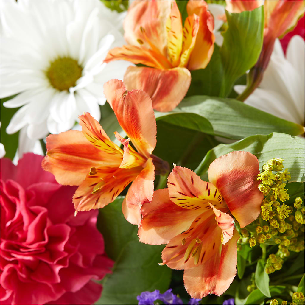 Oopsie Daisy Box Bouquet –  Miami Flowers, Miami FL