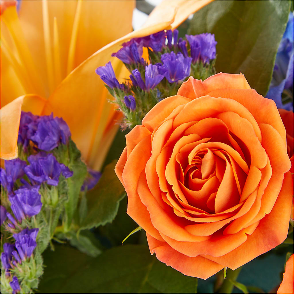 Radiant Citrus Box Bouquet –  Miami Flowers, Miami FL