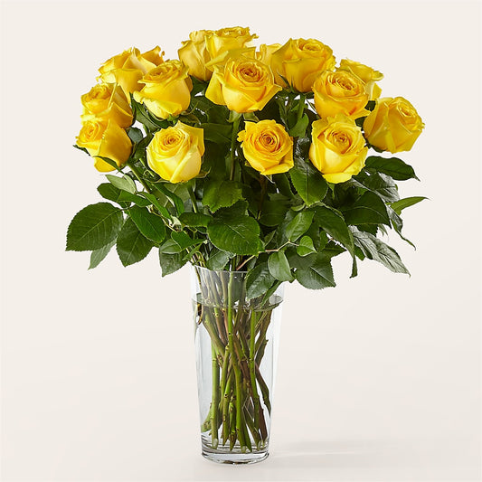 Long Stem Yellow Rose Bouquet –  Miami Flowers, Miami FL