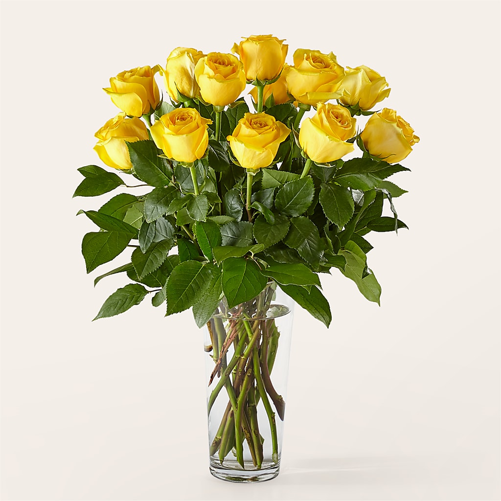 Long Stem Yellow Rose Bouquet –  Miami Flowers, Miami FL