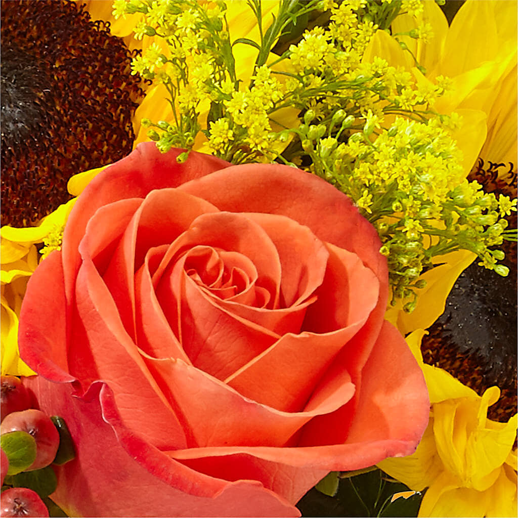 Pick of the Patch Pumpkin Bouquet –  Miami Flowers, Miami FL