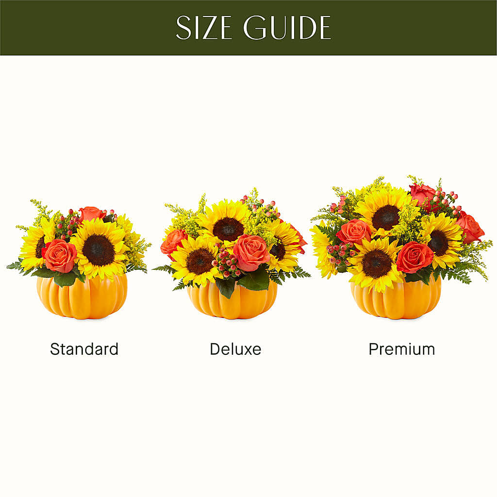 Pick of the Patch Pumpkin Bouquet –  Miami Flowers, Miami FL