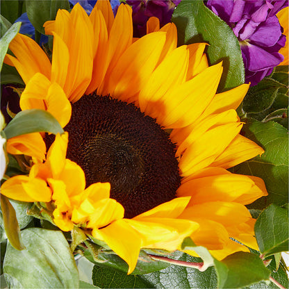 Catching Rays Bouquet –  Miami Flowers, Miami FL