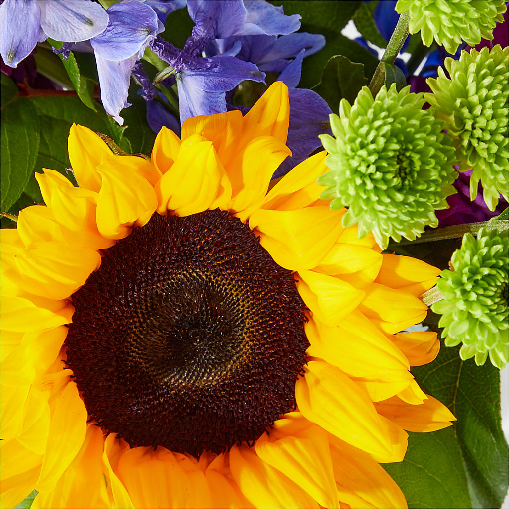 Catching Rays Bouquet –  Miami Flowers, Miami FL