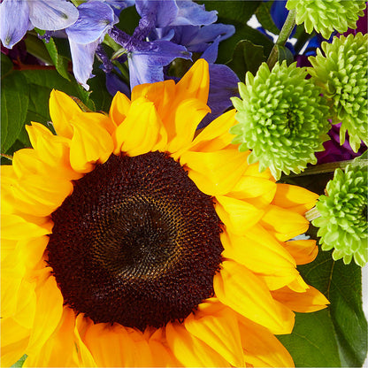 Catching Rays Bouquet –  Miami Flowers, Miami FL