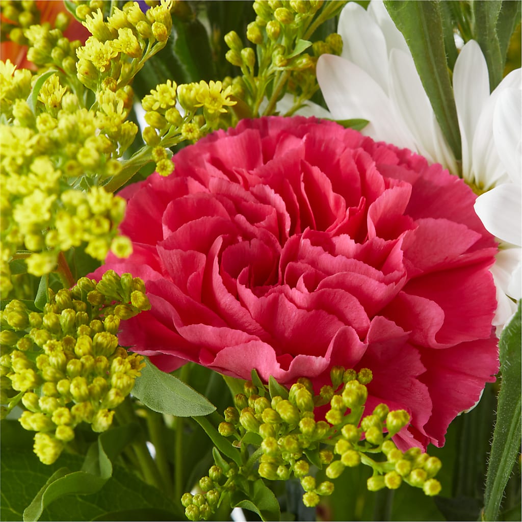 Oopsie Daisy Bouquet –  Miami Flowers, Miami FL