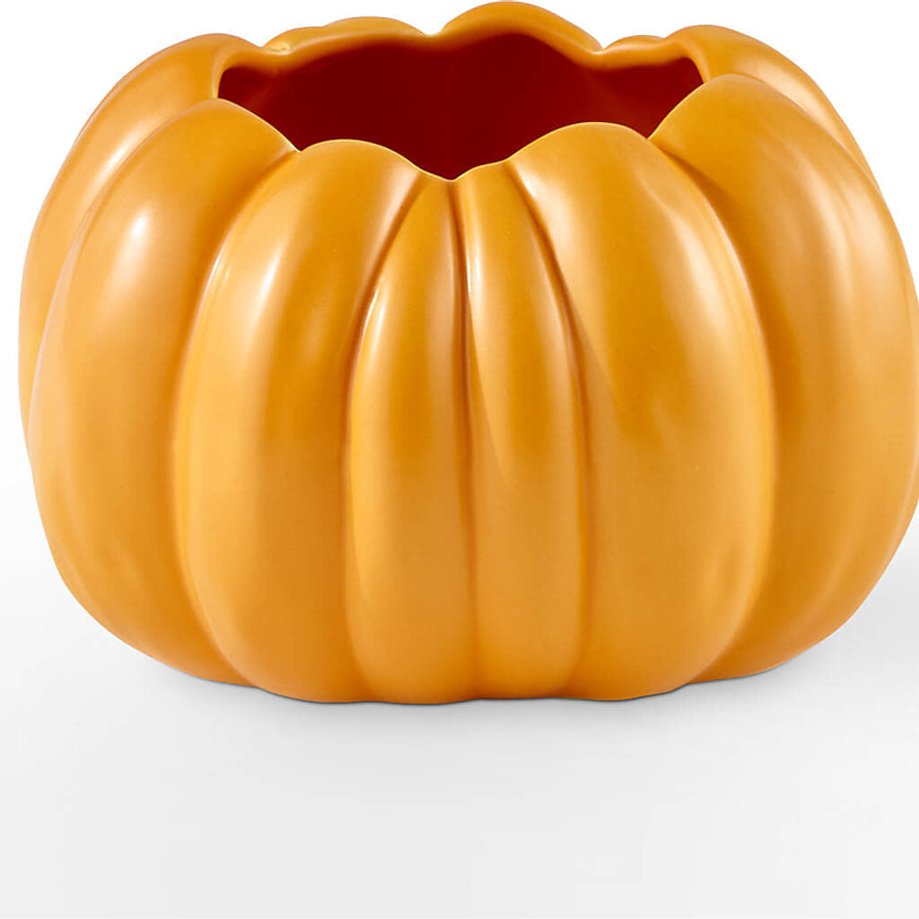 Pick of the Patch Pumpkin Bouquet –  Miami Flowers, Miami FL