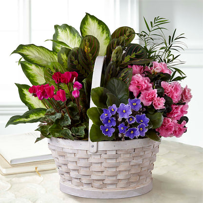 Peaceful Garden Planter –  Miami Flowers, Miami FL