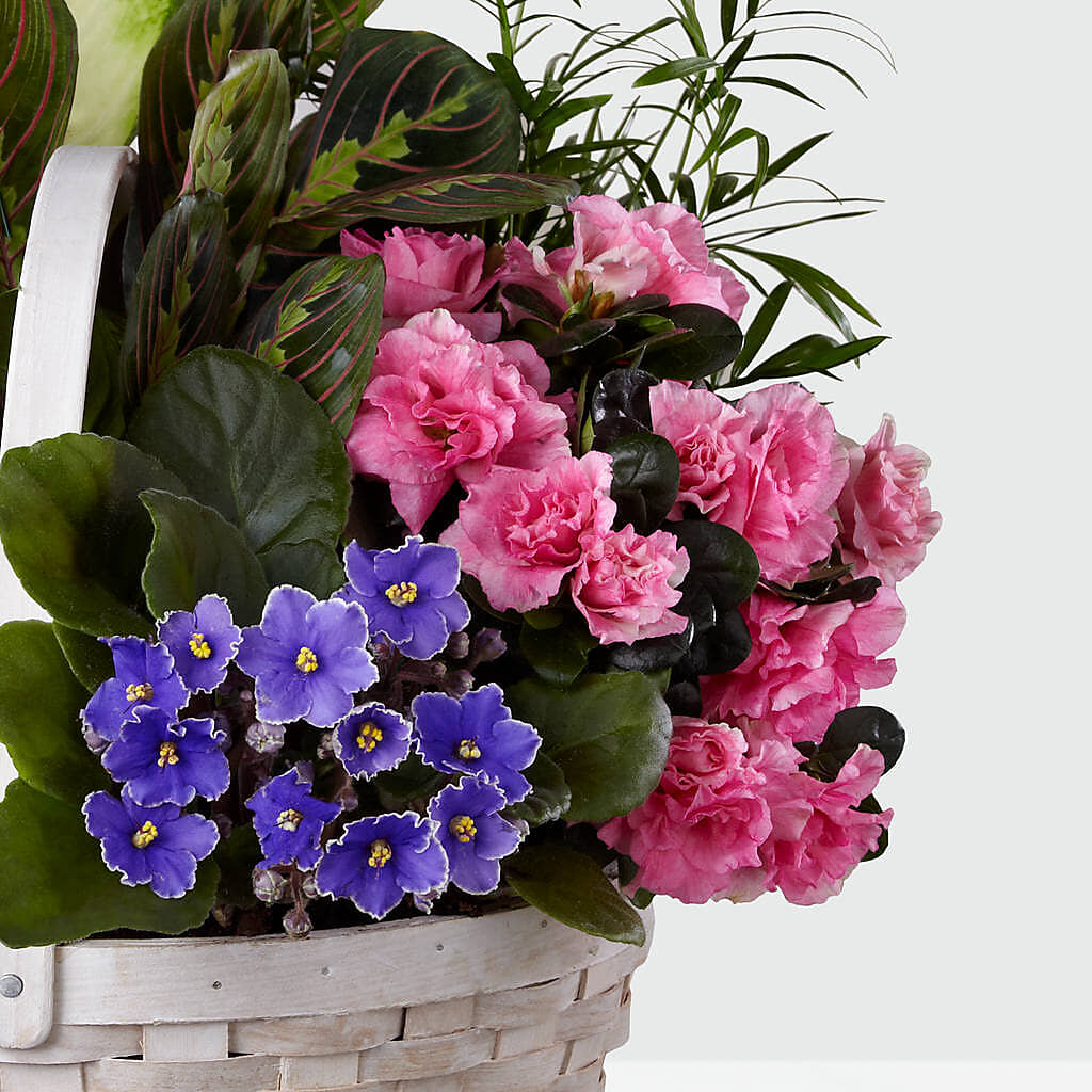 Peaceful Garden Planter –  Miami Flowers, Miami FL