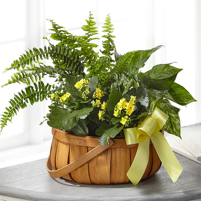 Always Dear Dishgarden –  Miami Flowers, Miami FL