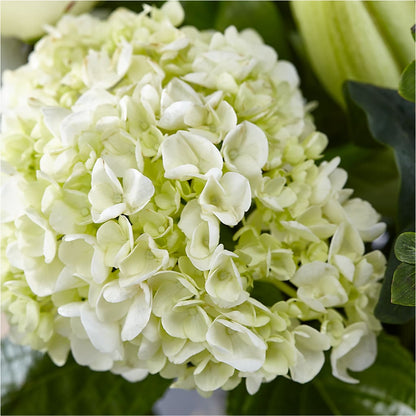 Classic Ivory – A Florist Original –  Miami Flowers, Miami FL