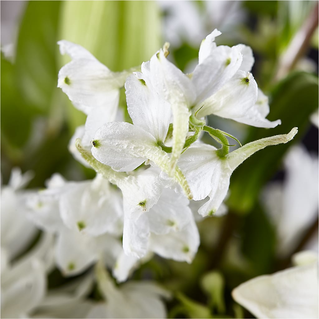 Classic Ivory – A Florist Original –  Miami Flowers, Miami FL