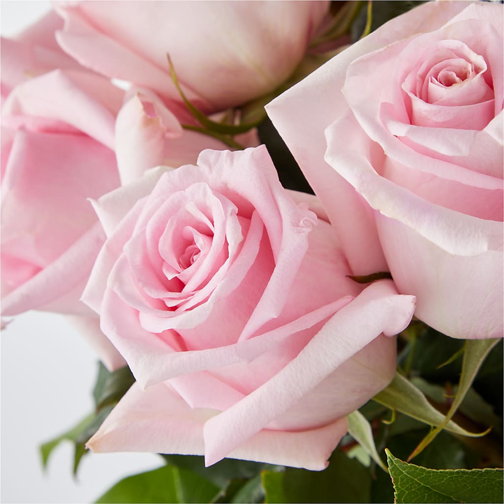 Picture Perfect Pink Rose Bouquet –  Miami Flowers, Miami FL
