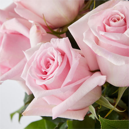 Picture Perfect Pink Rose Bouquet –  Miami Flowers, Miami FL