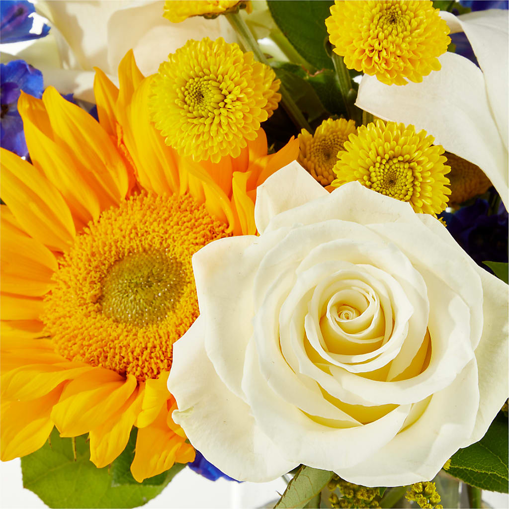 Stargazing Bouquet –  Miami Flowers, Miami FL