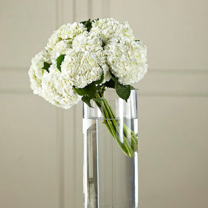 White Hydrangea Hand-Tied Bouquet –  Miami Flowers, Miami FL