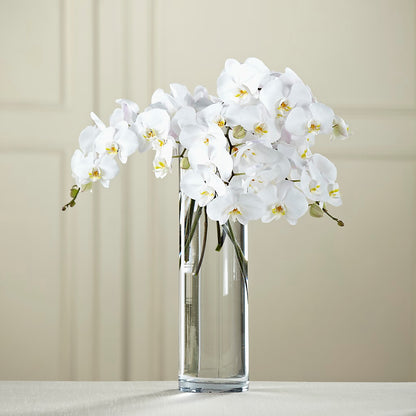 White Phalaenopsis Bouquet –  Miami Flowers, Miami FL