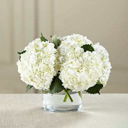 White Hydrangea Bouquet –  Miami Flowers, Miami FL